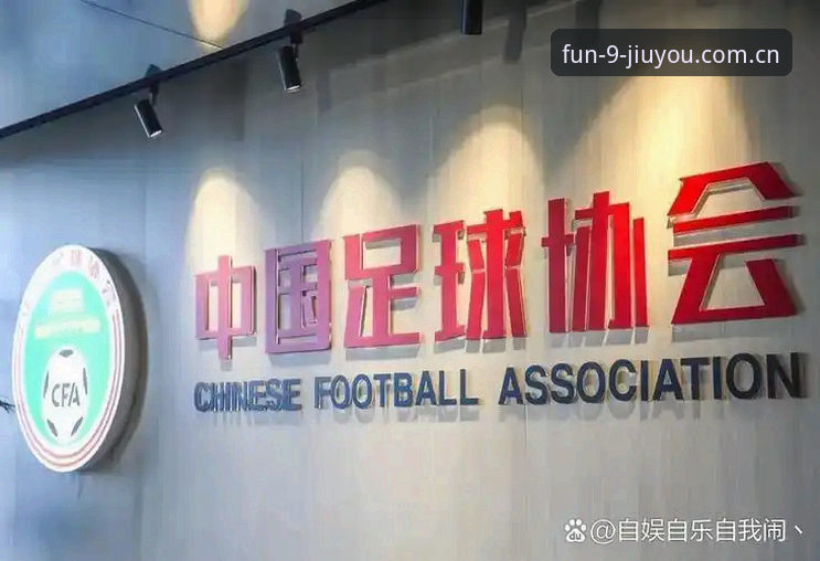 九游数字娱乐App 资深用户解析足协第三批禁足名单:从行业震盪看足球生态重构